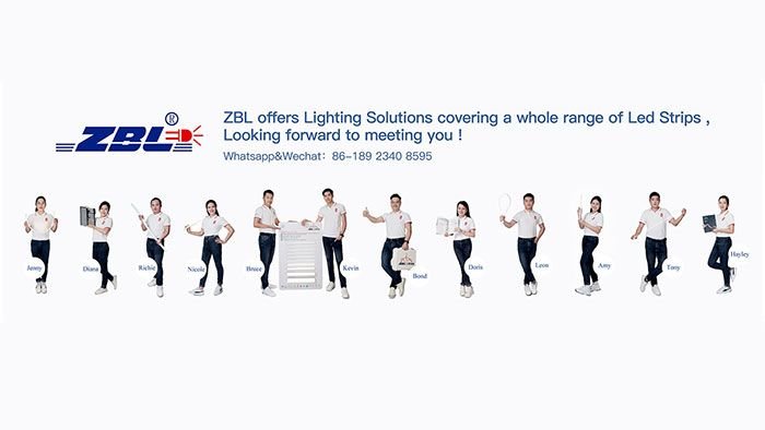 LED Strip Light R&D Department Video