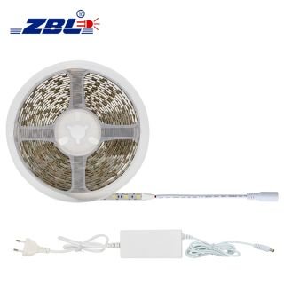 SMD5050 LED Strip Built-in ic 60LEDs/m Single Color 10mm DC5V - 3