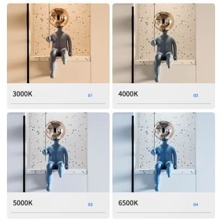 SMD5050 LED Strip Built-in ic 60LEDs/m Single Color 10mm DC5V - 4