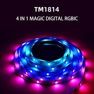 TM1814B RGBW LED Strip 4-in-1 | Addressable External IC Pixel Tape 12V/24V - 6