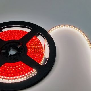 3mm Ultra Narrow LED Strip Light – SMD2216 240 LEDs/m, 6500K, CRI90, DC24V, 5W/m, 5m Roll - 6